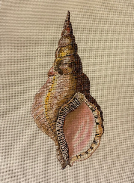 Miscellaneous MC520 Large Seashell 18 Mesh Colors of Praise