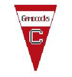 PE141 USC Gamecocks Pennant 4 x 6 18 Mesh Kathy Schenkel Designs