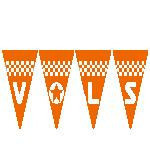 PE142D Tennessee S U of Tennessee Pennant 4 x 6 18 Mesh S Penant Only Kathy Schenkel Designs
