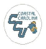 BT399N Coastal Carolina 4" diameter 18 Mesh Kathy Schenkel Designs