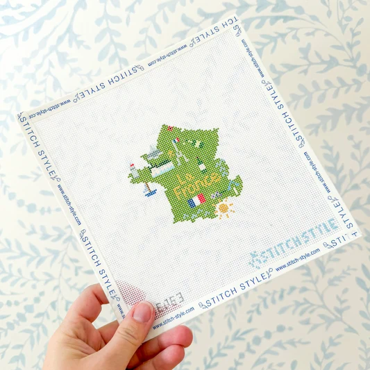 Map of France 18 Mesh SSAE06 Alli Eagan Designs