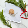 Snail Needlepoint Canvas Alli Eagan Designs