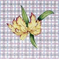 P107 Tulip/Plaid 11.5 x 11.5,13g Trubey Designs