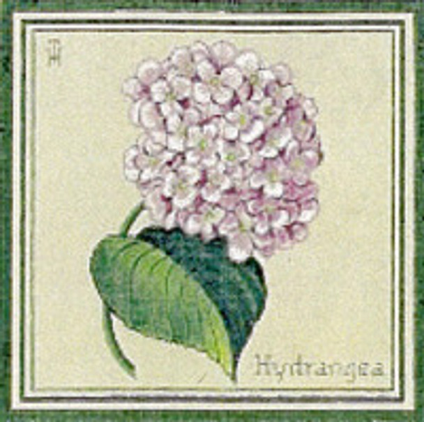 P116 Hydrangea 12 x 12,13g Trubey Designs