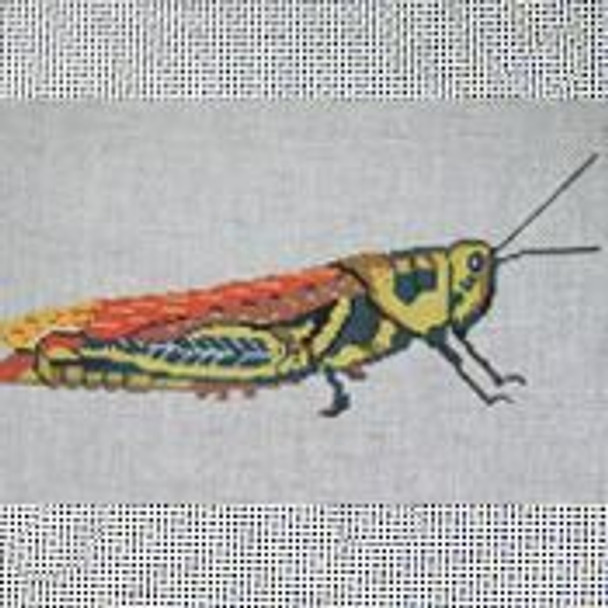 BR450  Eurpropachis Grasshopper 6” x 9” 18 Mesh Barbara Russell SKU 53896