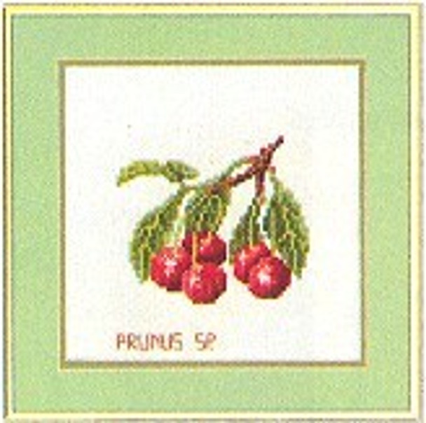 7712960 Eva Rosenstand Kit Fruit-Cherries 8" x 8"; Linen; 25ct