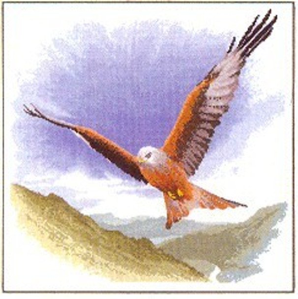 HCK652 Heritage Crafts Kit Red Kite In Flight by John Clayton 13.5" x 13.5"; Evenweave; 28ct