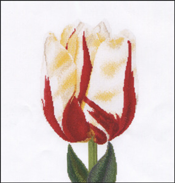 GOK516 Thea Gouverneur Kit Flamed Tulip 13" x 14"; Linen; 30ct