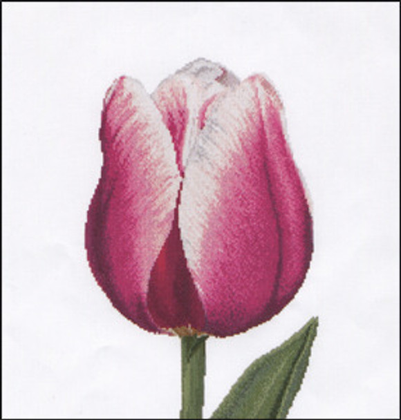 GOK517A Thea Gouverneur Kit Red/White Triumph Tulip 13" x 14"; Aida; 16ct