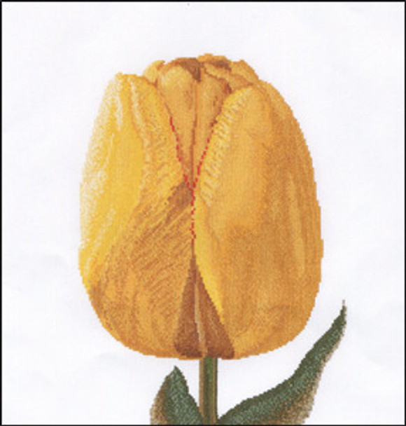 GOK522 Thea Gouverneur Kit Yellow Darwin Hybrid Tulip 13" x 14"; Linen; 30ct