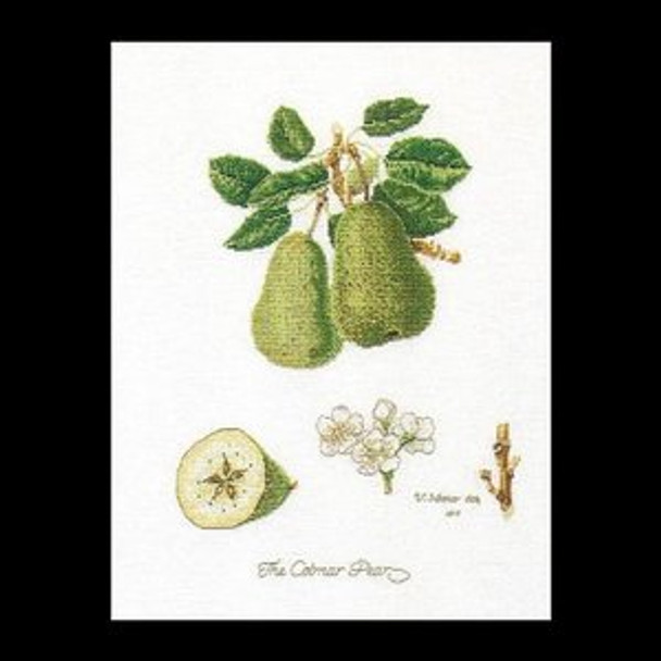 GOK2056 Thea Gouverneur Kit Pears 10" x 14"; Linen; 36ct