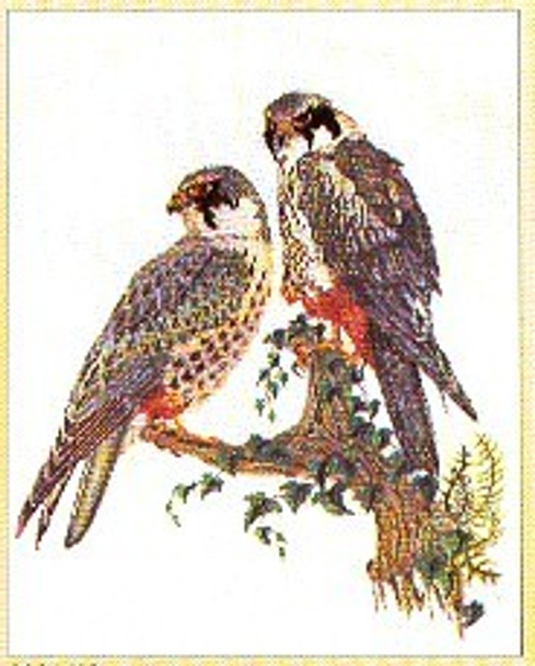 GOK2024 Thea Gouverneur Kit Falcons 19" x 23.6"; Linen; 32ct