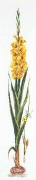 GOK3072 Thea Gouverneur Kit Yellow Gladiolas 8" x 35" Linen 36ct