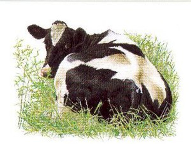 GOK452A Thea Gouverneur Kit Holstein Cow Looking Back 24" x 18" Aida 16c