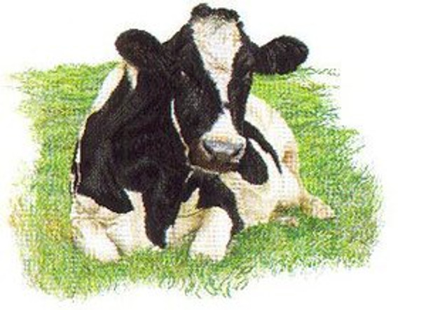 GOK451 Thea Gouverneur Kit Holstein Cow Looking Forward 24" x 18" Linen 30ct