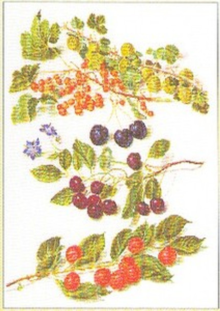 GOK3063 Thea Gouverneur Kit Sprigs Of Berries 13" x 18"; Linen; 36ct