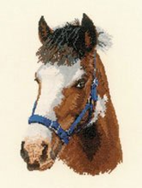 HCK861 Heritage Crafts Kit Troy by Pauline Gledhill Horse 6" x 9.5"; Evenweave; 27ct