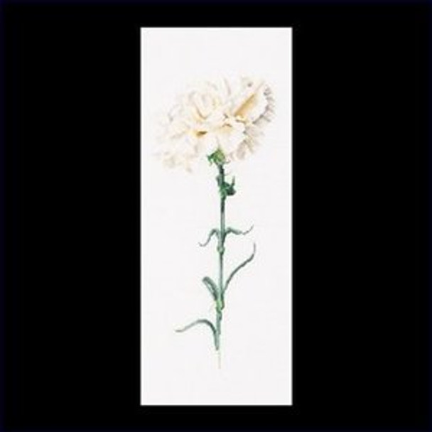 GOK466 Thea Gouverneur Kit Carnation White 7" x 17" Linen 36ct