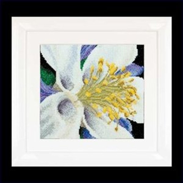 GOK493A Thea Gouverneur Kit Columbine 6" x 6" ; Aida; 18ct