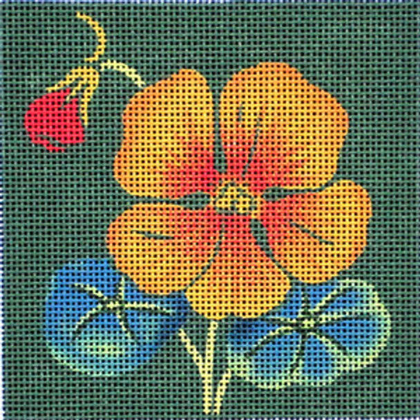 Maggie & Co. M-1493 Nasturtium © Paris Bottman 4 x 4 18M