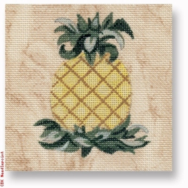 R-PC1008 Pineapple 18 Mesh 5" x 5" Needlepoint Boutique Designs 