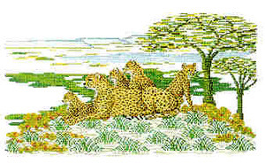 158340 Cheetahs Permin Graphs