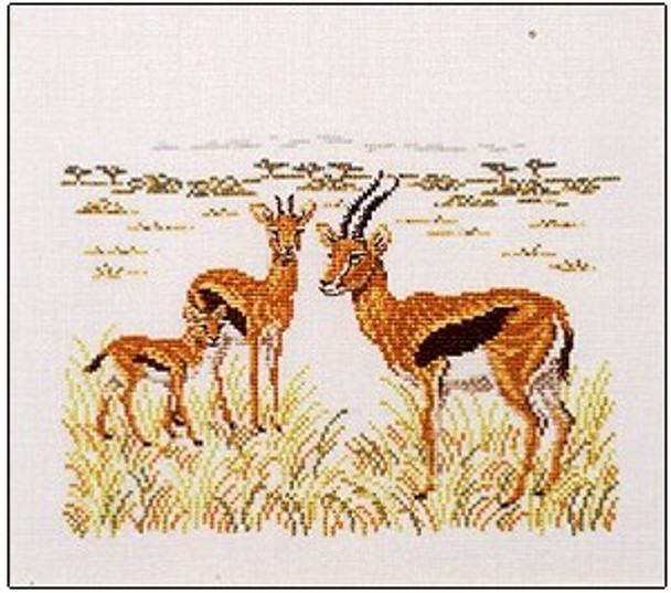 158344 Gazelles Permin Graphs