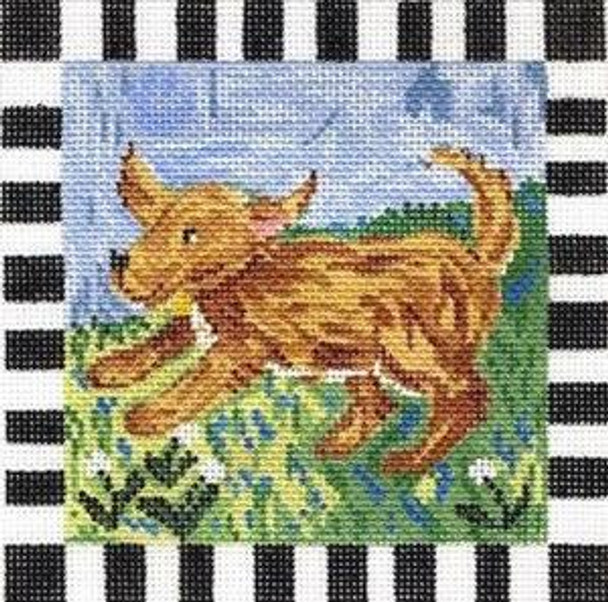 MML904 Dudley Dog 5X5 18 Mesh Cooper Oaks Designs 