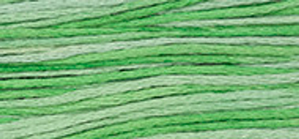 6-Strand Cotton Floss Weeks Dye Works 2181 Cactus