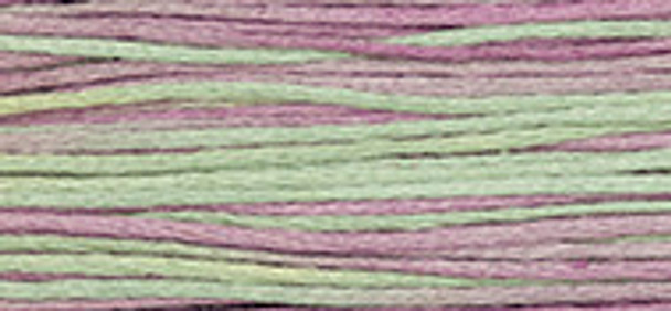 6-Strand Cotton Floss Weeks Dye Works 1301 Julian