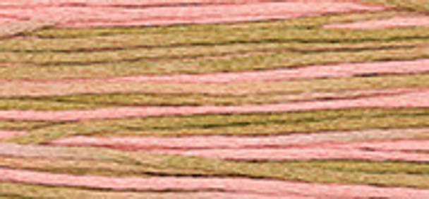6-Strand Cotton Floss Weeks Dye Works 2251 Mexicali