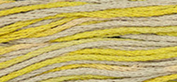 6-Strand Cotton Floss Weeks Dye Works 2216 Citron