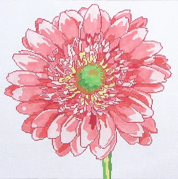 15b Jean Smith Designs Regal Gerber Daisy 15 square 13 mesh