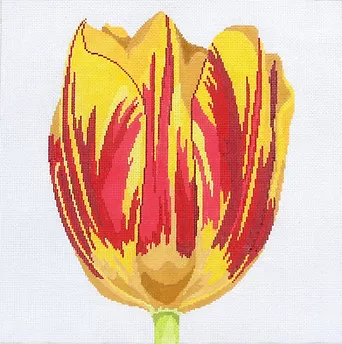 15y Jean Smith Designs Regal Bellona Tulip 15 square 13 mesh