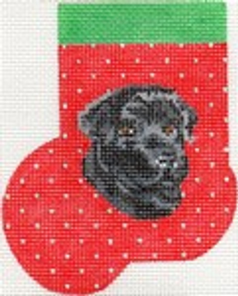 ab336 A. Bradley black lab Mini-Sock 3 x 418 Mesh 