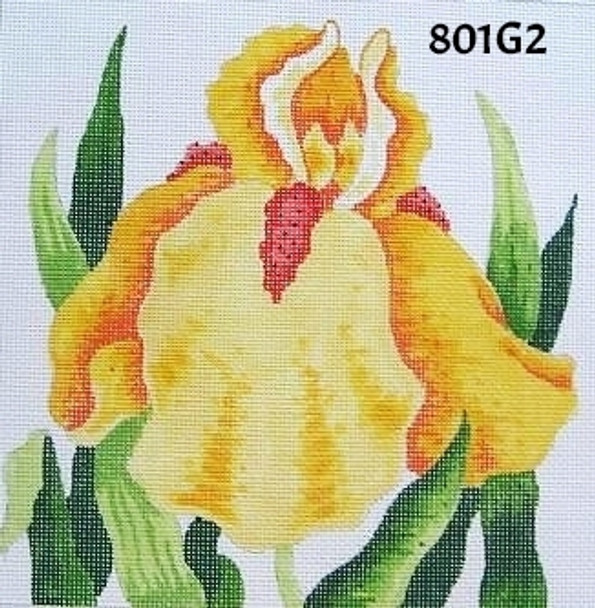 Pillow 801G2 Yellow Bearded Iris- 10x10 13 Mesh MM Designs