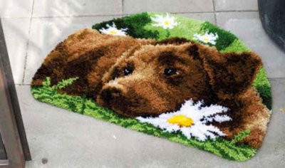 PNV153852  Vervaco Kit Chocolate Labrador Rug 21" x 15.6"; Canvas 