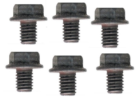PTO COVER BOLTS SET OF 6, FITS BW1356 BW1370 BW4407 BW4470 NP203 NP205