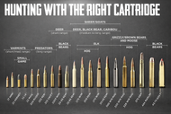 Hunting Ammunition Selection: Matching Your Ammo to Your Game