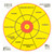PRO-SHOT PRODUCTS Pistol Training Target Bullseye 6-Pack