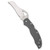 Spyderco Gooney 3.44" Folding Knife