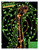 FEDERAL Grand Slam 12 Gauge 3" Birdshot #5 Shot 1 3/4 oz 1200 fps 10 Rounds