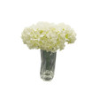 Dola, White Hydrangea in a Twisted Glass Vase