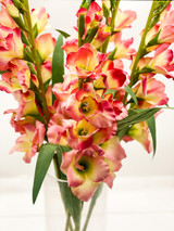 Tempest, 40” Pink & Yellow Tropical Bouquet 