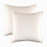 Velvet Set of 2 Pillows