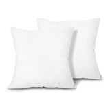 Pillow Inserts