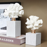 Coral Tabletop Decor