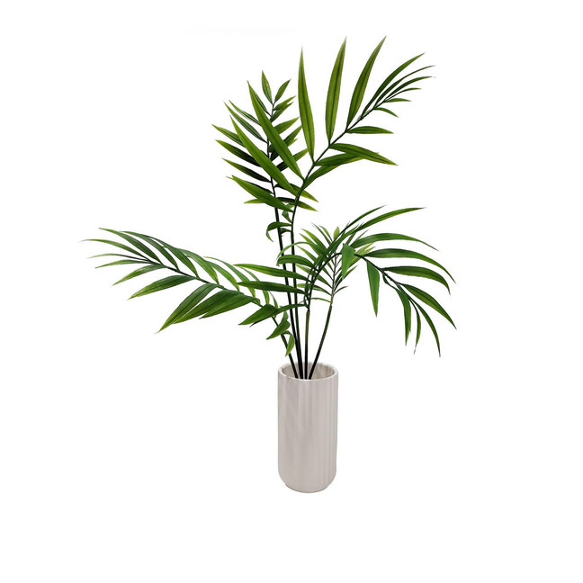 Caribe, Areca Palm in a White Ribbed Vase