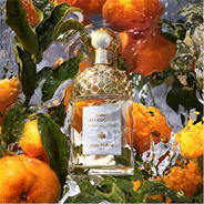 MANDARINE BASILIC - www.discount-perfumes-aftershaves.co.uk