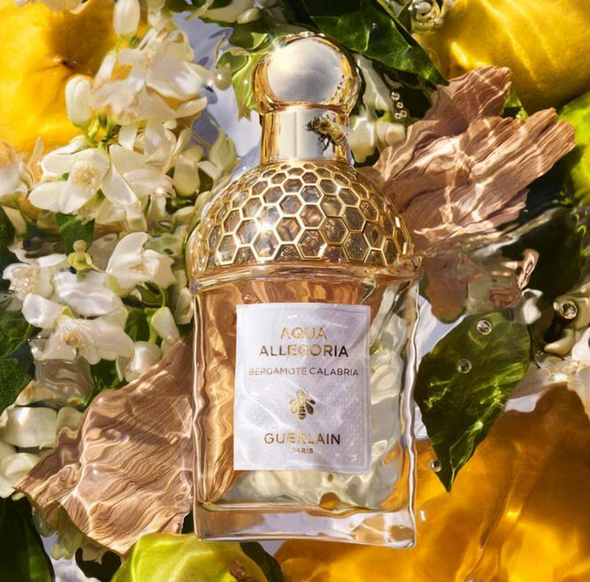 Bergamote Calabria www.discountperfumes-aftershaves.co.uk